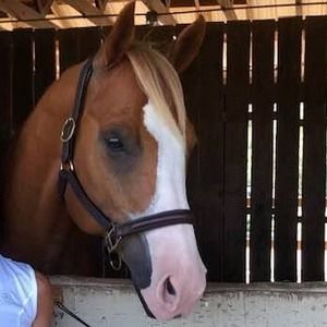 Meet your Posher, Kristy